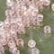 12 Pack: Toho® Dyed Rainbow Pink Japanese Glass Seed Beads, 6/0